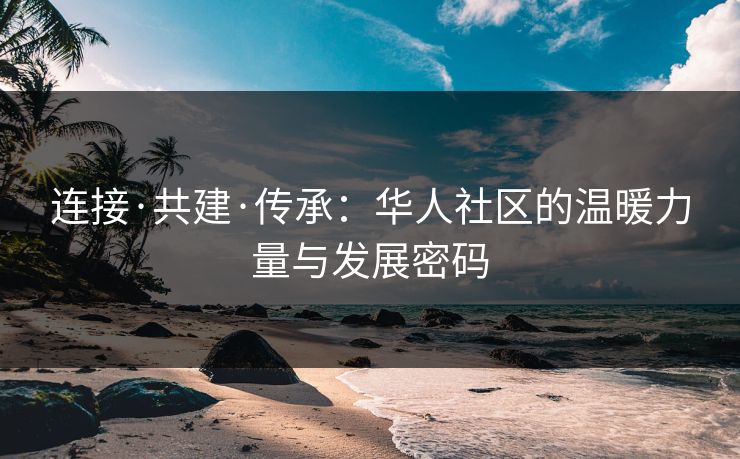 连接·共建·传承：华人社区的温暖力量与发展密码